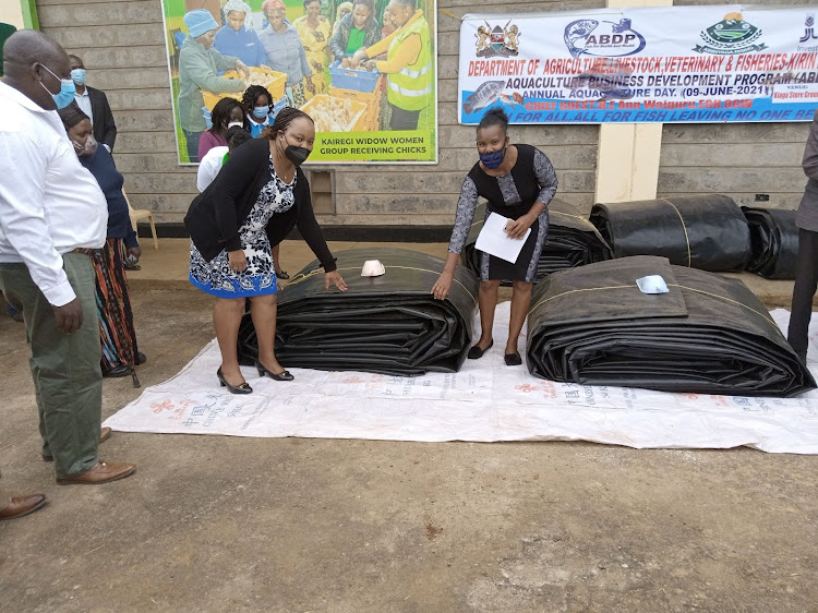 Kirinyaga Governor Anne Waiguru with a fish farmer during the distribution of fish liners under the Wezesha agricultural programme.The project aims to increase farmers' incomes and improve the nutritional status of the county.