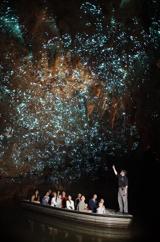 Glowworms Caves, a caverna do céu estrelado