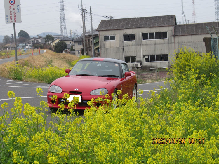 の投稿画像18枚目