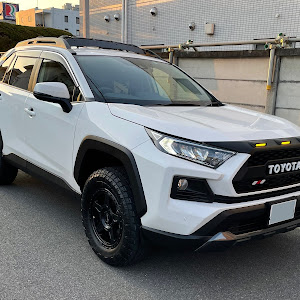 RAV4 MXAA54