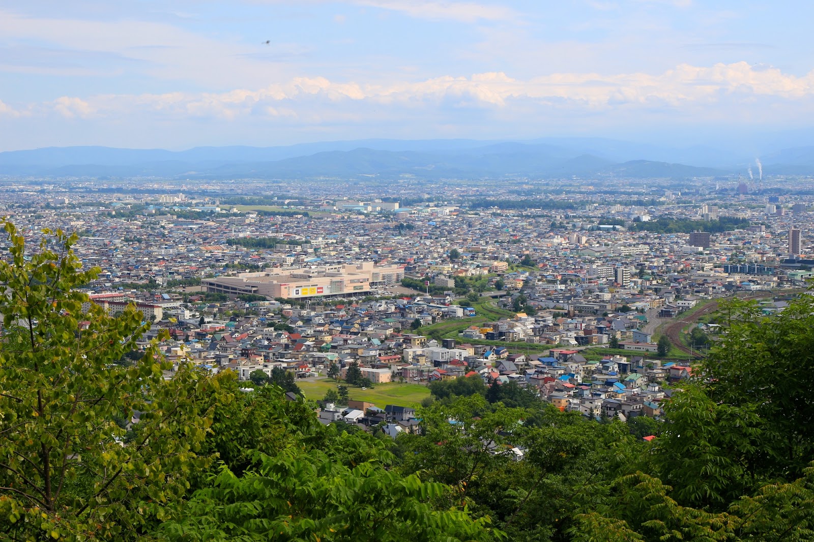 4、アクセス良好！旭川市街地を一望できる場所「嵐山展望台」