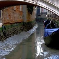 Venezia "i ga suga el canal" di 