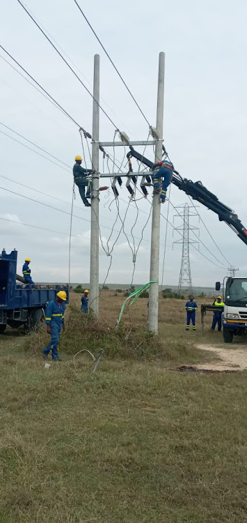 Engineers replacing the short electric poles at Soysambu Conservancy. Image:Courtesy.