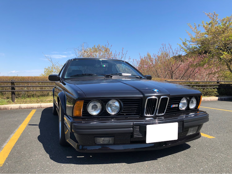 M6のコロナウイルスに負けるなに関するカスタム事例の投稿画像4枚目