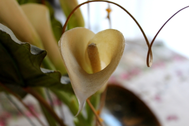 Fiore e cuore di Francescamente