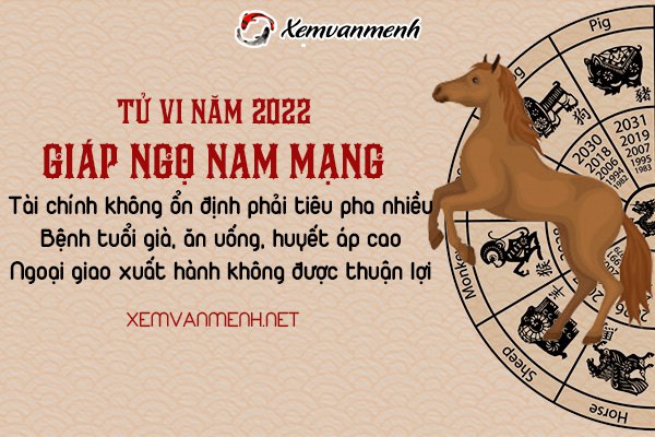 tu-vi-tuoi-giap-ngo-nam2022-nam-mang-1954