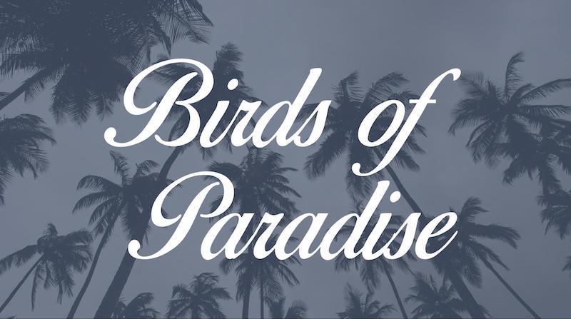 Free Elegant Fonts - Birds Of Paradise