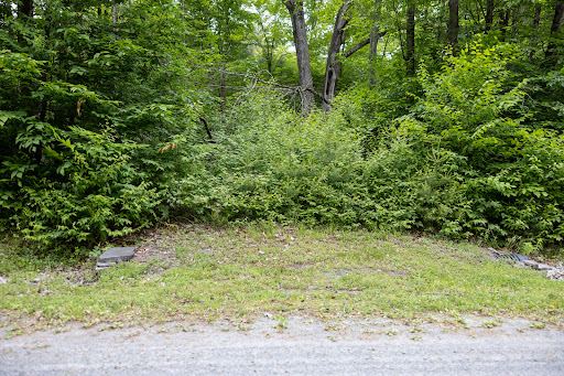 Terrain 3