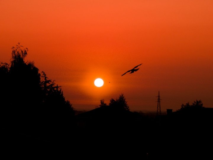 L'alba di nuovo giorno di Angelsimy