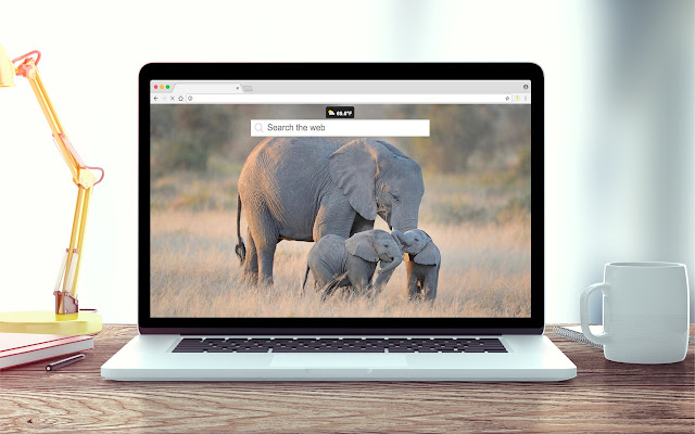 Elephants Wallpapers New Tab Theme