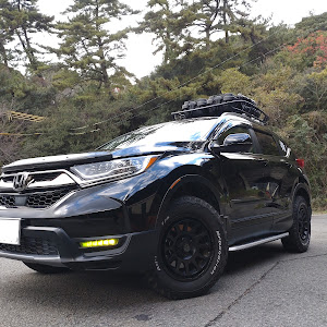 CR-V RW1