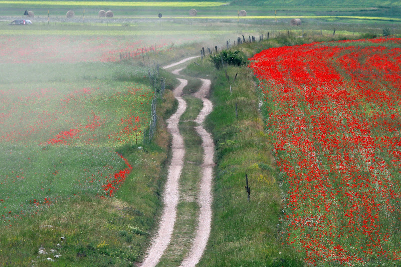 All'inizio dell'estate di Zaporogo