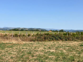 maison neuve à Arpajon-sur-Cère (15)