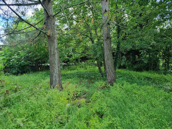 terrain à Les ponts-de-ce (49)