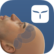 Neurosimulator Vol.I 1.3 Icon