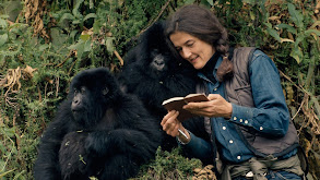 Dian Fossey thumbnail