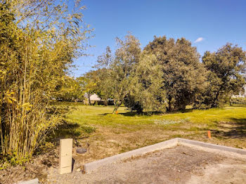 terrain à batir à Piriac-sur-Mer (44)