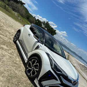 C-HR ZYX11