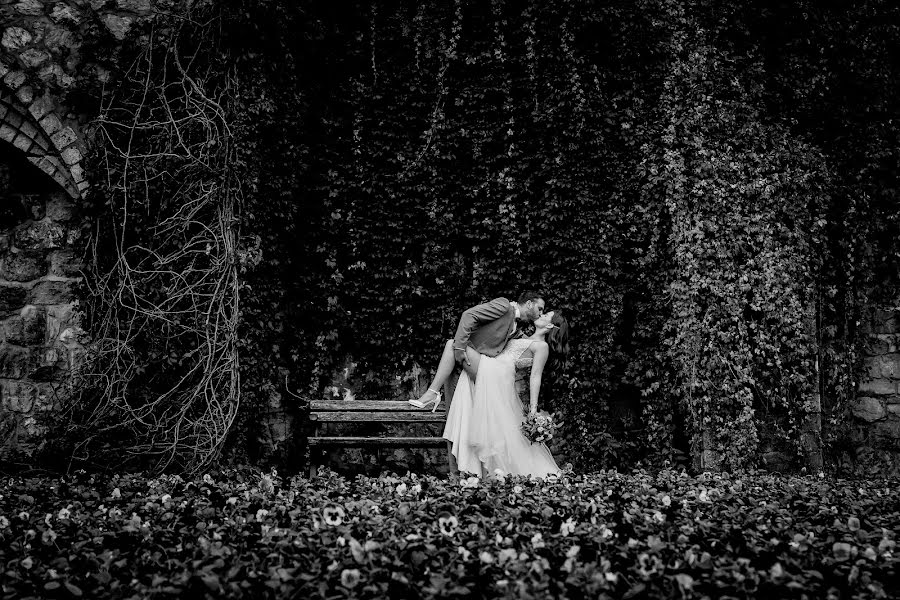 Wedding photographer József Márk Losonczi (losonczi). Photo of 13 February