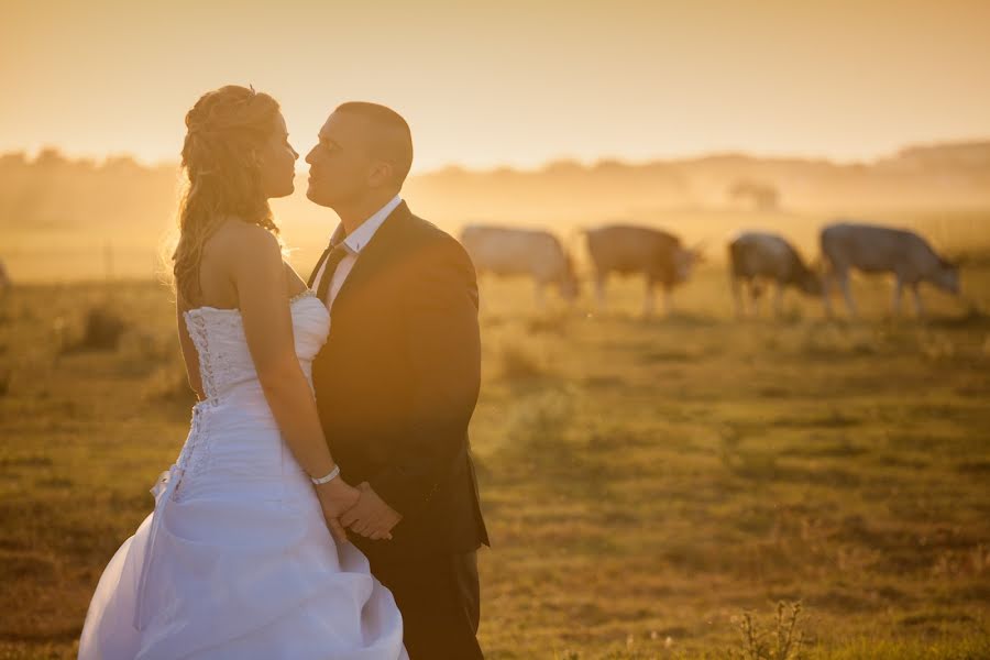 Photographe de mariage Gál Zoltán (pusztafoto). Photo du 30 mars 2016