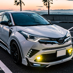 C-HR ZYX10