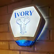 Ivory Security Limited Logo