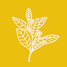 InvasivePlantsCV icon