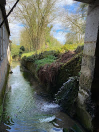 moulin à Ternay (41)