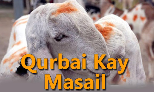 Qurbani Kay Masail(圖1)-速報App