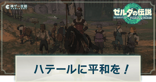ゼルダの伝説ティアーズオブザキングダム_ハテールに平和を！