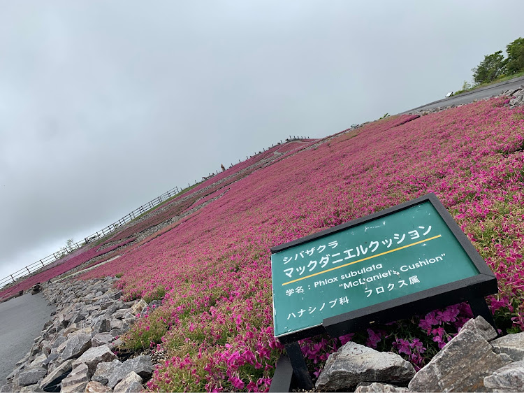 の投稿画像2枚目