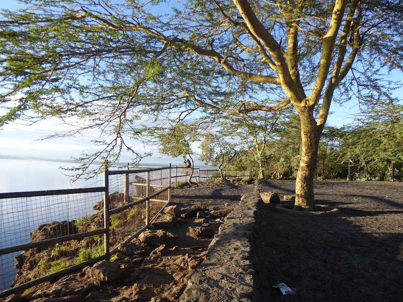 Un poquito de Kenia: Lagos Naivasha y Nakuru, Samburu y Masai Mara - Blogs de Kenia - EL PARQUE NACIONAL DEL LAGO NAKURU (20)