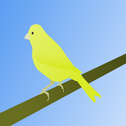 Canary Bird Sound  Icon