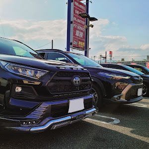 RAV4 MXAA54