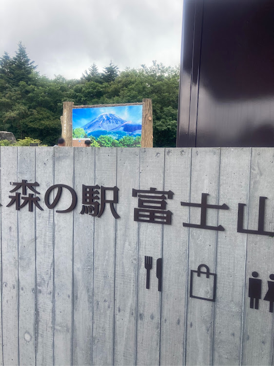 ポロの気温22℃の公園とは・14時半から遅めのランチ・SAとPA・あと1週間で妻ポロとお別れ・紫外線アレルギーはつらいに関するカスタム事例の投稿画像2枚目