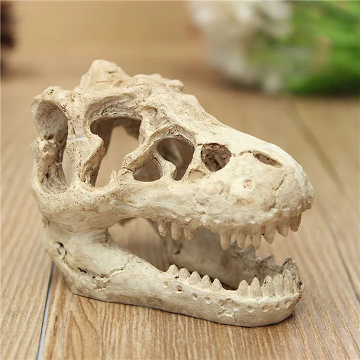 Resin Dinosaur Stone Statue Decorative Props Mini Crocodile Skull Statue Crafts Arts Artificial Decor for Fish Tank Aqua