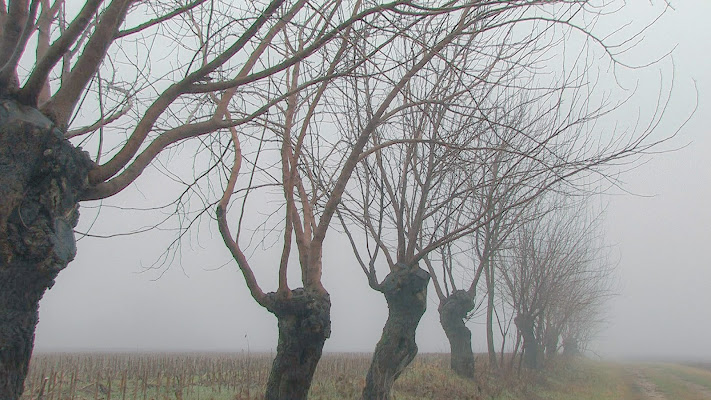 tremate, tremate le streghe son tornate di Zeta & Zeta