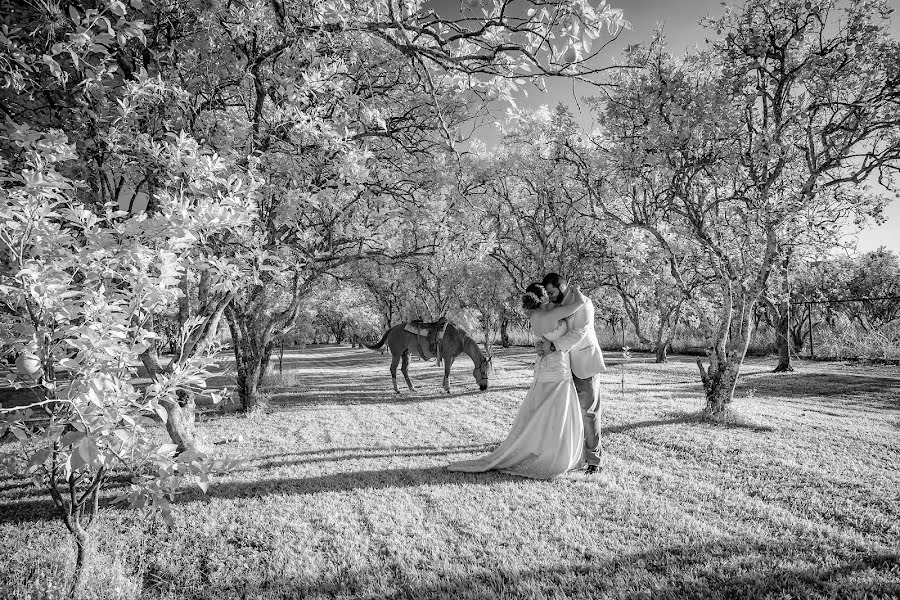 Fotógrafo de casamento Hector Salinas (hectorsalinas). Foto de 4 de fevereiro 2016