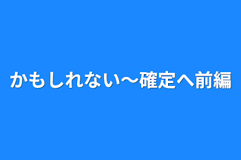 かもしれない〜確定へ前編