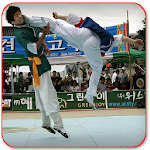 Cover Image of Unduh Taekwondo Kata 1.0 APK