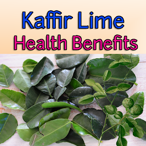 Kaffir Lime Health Benefits 1.0