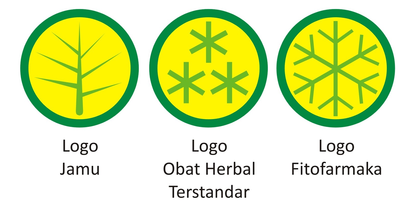herbal-medicine.jpg