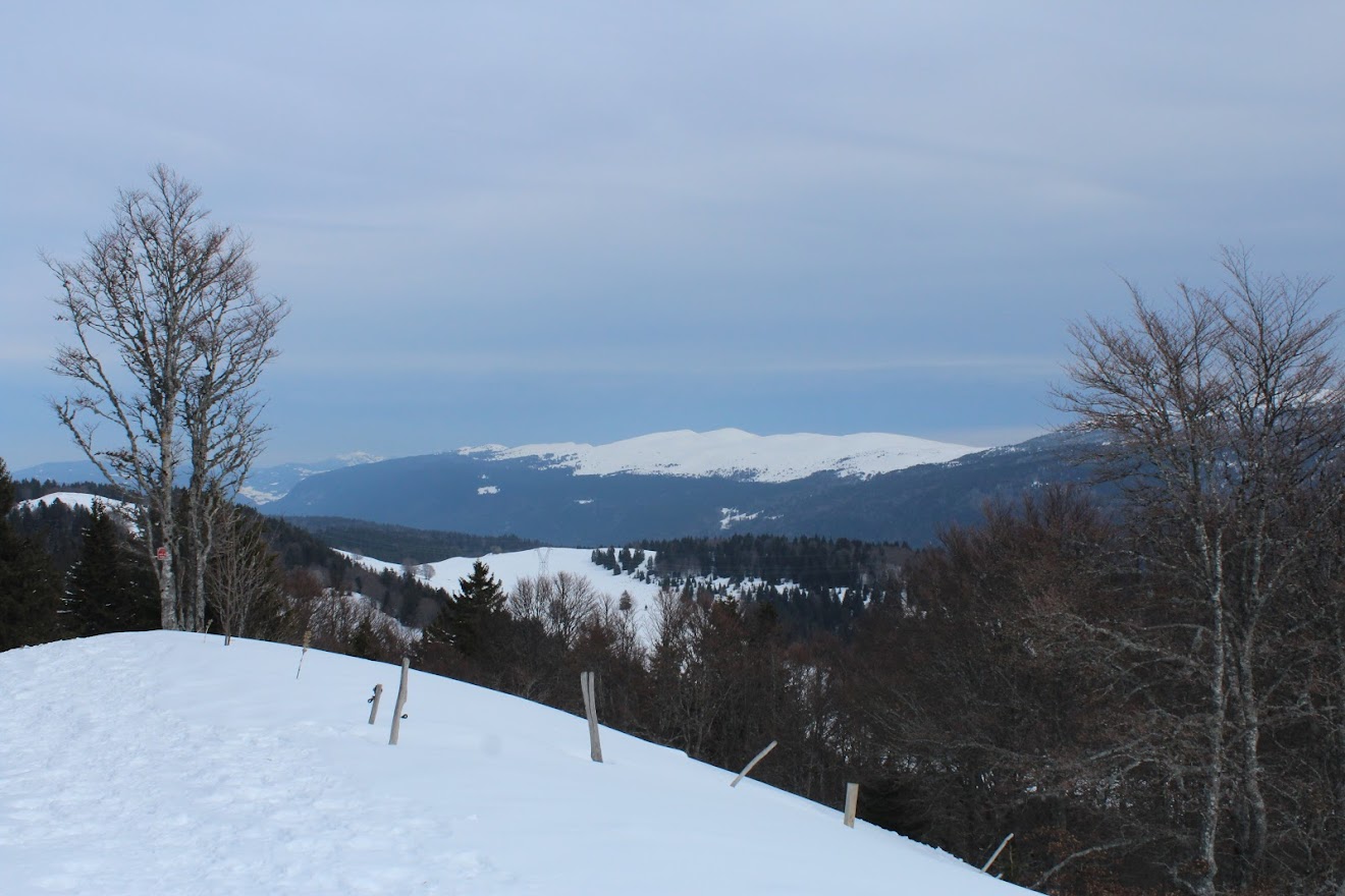 La Pesse-Crêt Au Merle UBojJ-TfxCR0UESPd19YtjuoipHtb9Hl96pd5u8OKGibqbTEtj0Nb6-HIGYdFbXHUfFjv7TR0lVfVP5Ry0KUkrU86D3Tapu82yhfVZ0PAvUbak7ay5uugdhvjv78T2U0Y-mv1C4xhERulQq6SMl-oawFu46uZMm2yx4MXKA8yBChoAnNSoYvficY4rkZk86LotZprUhsx-NSh85dQrKhCkOhfvakyh7UtRPbAIUjW67Ti7Rv89FXk_rOdtUEvQ4MTcaRHcxh6Ffc8CXlM_ZpQ18wDOQZEqywyHSFPm86h15xC22fsp2y9D9aKEYQbMP89yB_buqPBwjdXSi5dDci4BOa8B4BO-4UelpHv2QZLKzOYg1kuTC2WbKoylYie-Z5xudmX0RLs4x0qjZUr8pi-NBk69rB3PfAetaaLCIHhV5dmNDqkdOpT7ICqKYQw7mQxWP2Dty1uI7BsXxdJ_ELjy6JrRbaNdo6v3kIYLmaSSIVXIWuiGdunigRgOzFSzAL-G6r0zPlbYa4NVQNjbTpyCWJhAxhfG94XLrSVuD1VXd9Q9zs45sKOiFYjzmdfqMmyoHwEA=w1320-h880-no