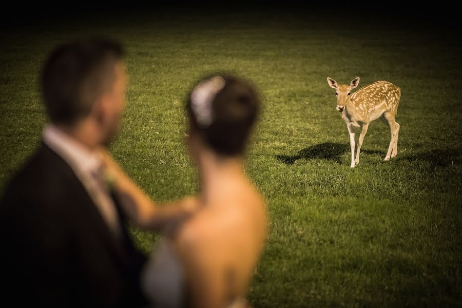 Wedding photographer Marco Baio (marcobaio). Photo of 12 April 2016