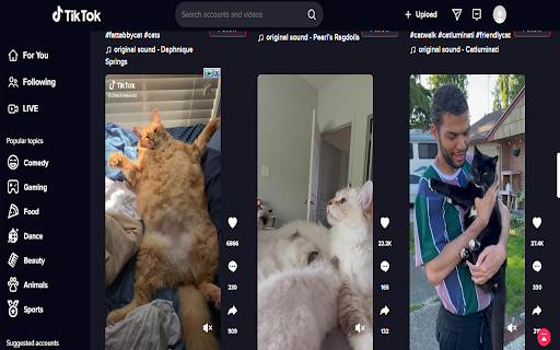 Tiktok Darkmode + Multi Column