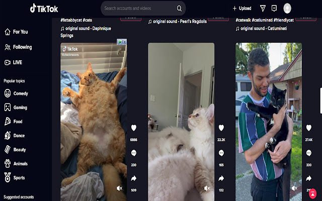 Tiktok Darkmode + Multi Column chrome extension