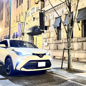 C-HR ZYX11