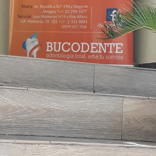 Opiniones de Bucodente en Quito - Dentista