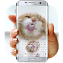 Baixar Cute Kitty Live Keyboard Instalar Mais recente APK Downloader