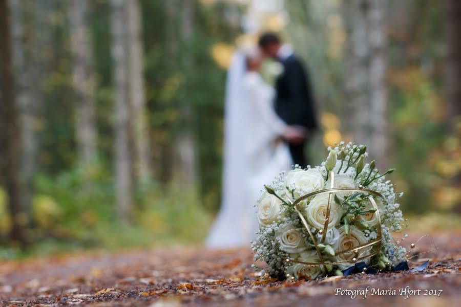 Wedding photographer Maria Hjort (hjort). Photo of 30 March 2019